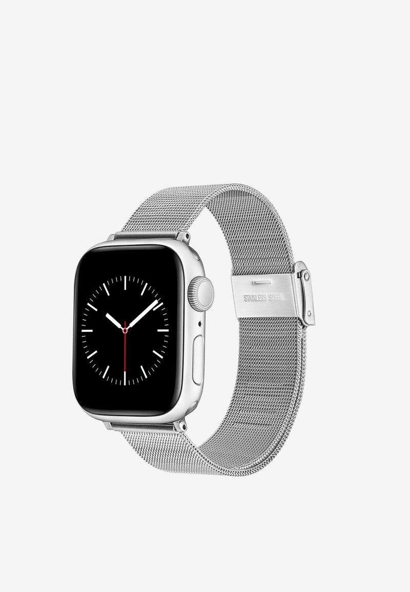 DANIEL WELLINTON Smartwatch Mesh Strap