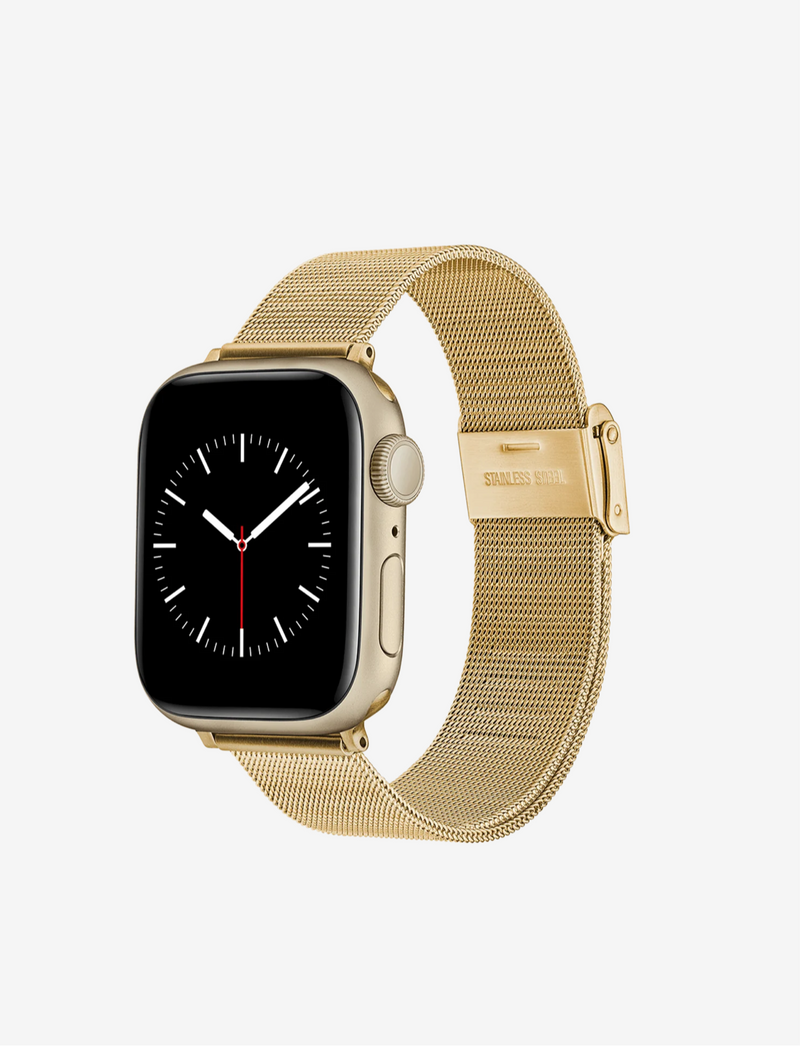 DANIEL WELLINTON Smartwatch Mesh Strap