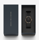 DANIEL WELLINTON Petite Ashfield