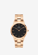 DANIEL WELLINTON Iconic Link