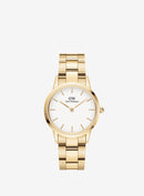 DANIEL WELLINTON Iconic Link